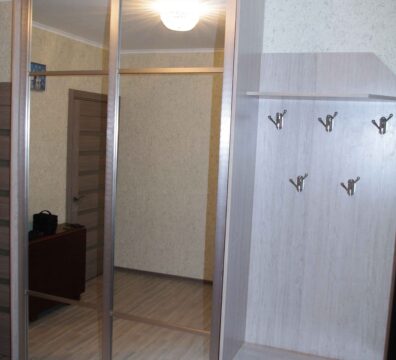 Шафа купе в передпокій із дзеркалом Шафа купе в передпокій із дзеркалом